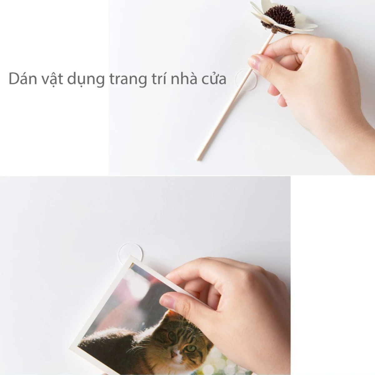 Vỉ 35 Miếng Băng Keo 2 Mặt Trong Suốt Nano Siêu Dính Không Để Lại Vết Keo Khi Bóc 2 Bang keo 2 mat vi 35 3 Vỉ 35 miếng băng keo 2 mặt trong suốt